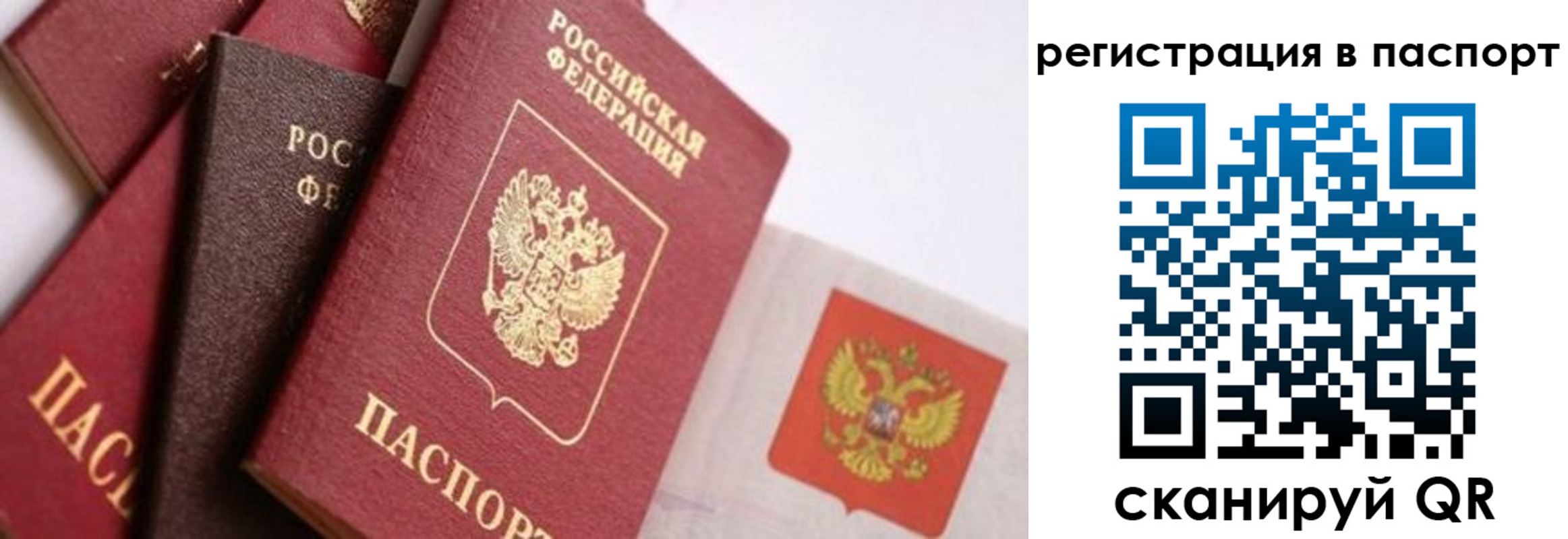 прописка в квартире в Ворсме